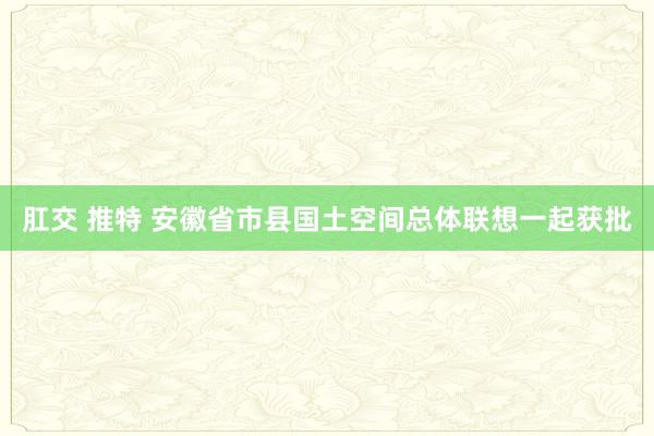 肛交 推特 安徽省市县国土空间总体联想一起获批