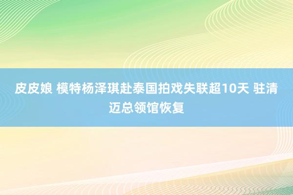皮皮娘 模特杨泽琪赴泰国拍戏失联超10天 驻清迈总领馆恢复