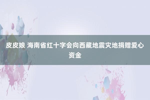 皮皮娘 海南省红十字会向西藏地震灾地捐赠爱心资金