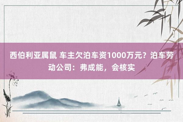 西伯利亚属鼠 车主欠泊车资1000万元？泊车劳动公司：弗成能，会核实
