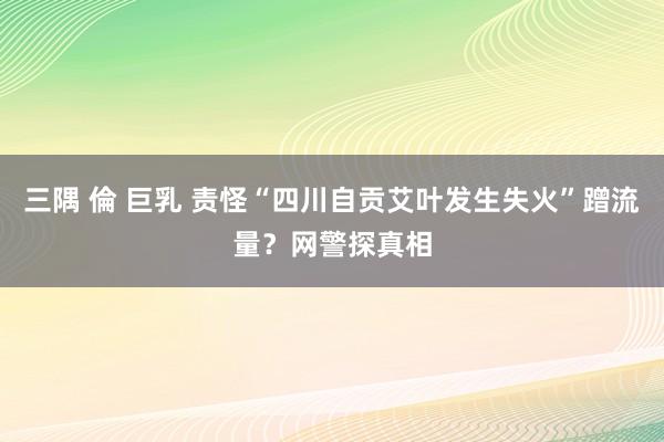 三隅 倫 巨乳 责怪“四川自贡艾叶发生失火”蹭流量？网警探真相