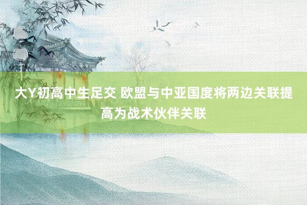 大Y初高中生足交 欧盟与中亚国度将两边关联提高为战术伙伴关联