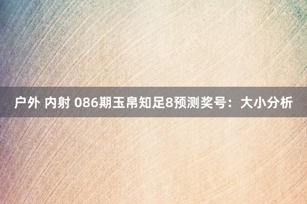户外 内射 086期玉帛知足8预测奖号：大小分析