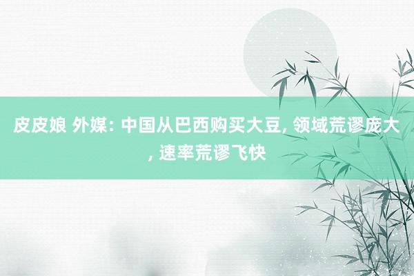 皮皮娘 外媒: 中国从巴西购买大豆， 领域荒谬庞大， 速率荒谬飞快