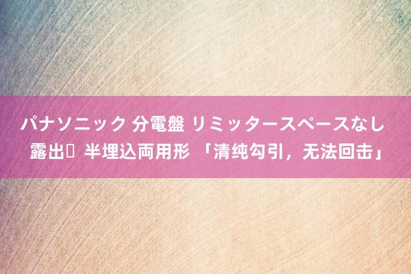 パナソニック 分電盤 リミッタースペースなし 露出・半埋込両用形 「清纯勾引，无法回击」