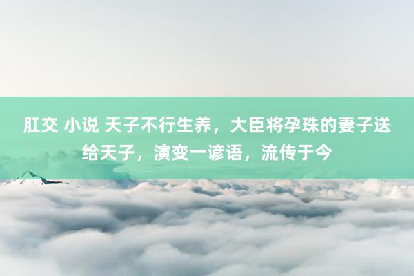 肛交 小说 天子不行生养，大臣将孕珠的妻子送给天子，演变一谚语，流传于今