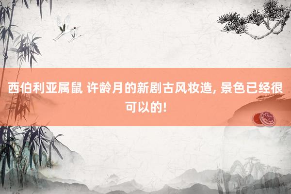 西伯利亚属鼠 许龄月的新剧古风妆造， 景色已经很可以的!